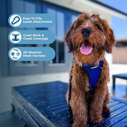 Best Pet Supplies Voyager Step-in Air All Weather Mesh Harness and Reflective Dog 5ft Leash Combo with Neoprene Handle, for Small, Medium and Large Breed Puppies - Royal Blue/Black Trim, X-Small