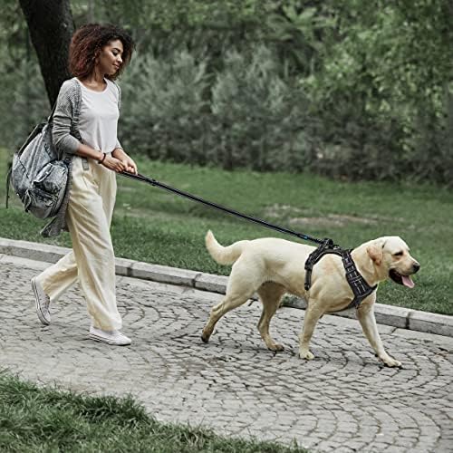 PHOEPET 5 Feet Heavy Duty Dog Leash - Reflective - Soft Padded Handle