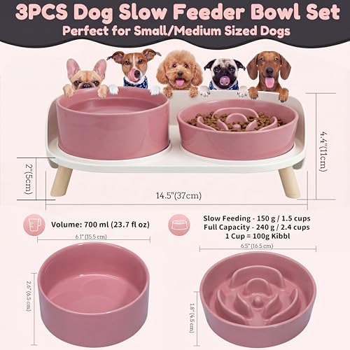 Elevated Slow Feeder Dog Bowls with Splash Proof Stand, Slow Eating 5X