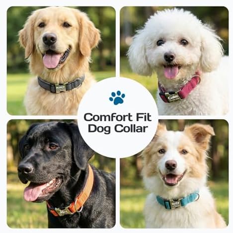 Personalized Dog Collars with Name and Phone