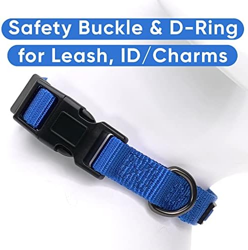 Pawtitas Solid Color Blue Puppy or Dog Collar, Medium
