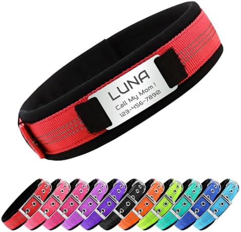 Reflective Personalized Dog Collar with Name Tag，Red：M
