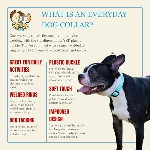 Country Brook Petz - Everyday Nylon Dog Collar for Large, Medium, and Small Dogs and Puppies - for Everyday Use in 30+ Colors (Extra Large, 1 Inch Wide, Light Cyan)