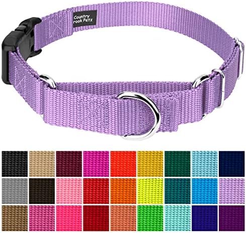 Martingale Dog Collar - Heavy Duty Nylon Adjustable Martingale Dog Collar with Plastic Buckle for Small Medium Large Breeds - 30+ Colors (1 Inch, Medium, Lavender)