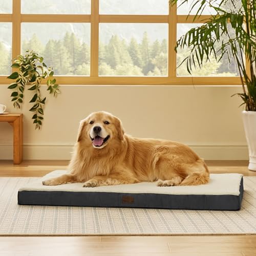 Bedsure XL Dog Bed, Extra Large Pet Bed with Comfy Sherpa,44x32in Grey (Pack of 2)