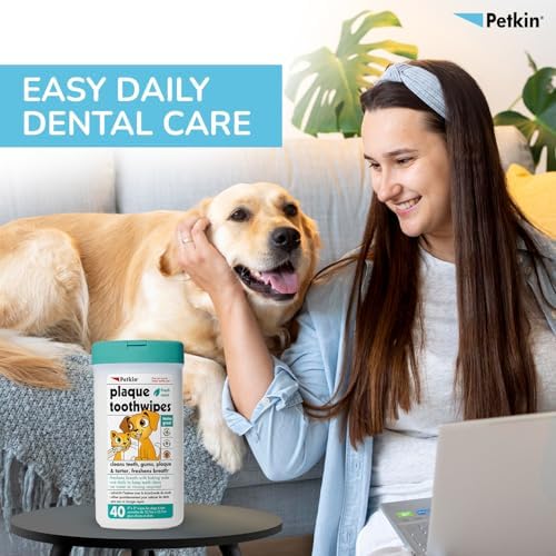 Petkin Cat and Dog Dental Wipes, 80 Wipes (Fresh Mint) - Natural Formula Cleans Teeth, Gums & Freshens Breath - for Daily Use - Convenient Dog Dental Care - 2 Packs of 40 Wipes (80 Wipes Total)