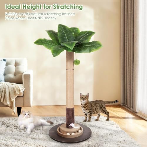40" Cat Scratching Post, Natural Sisal Rope Cat Scratcher Tree, Cat Scratcher Post with Hanging Ball, Heavy-Duty Wood Base with Mouse Hole & Ball Track for Kitten & Adult Cats