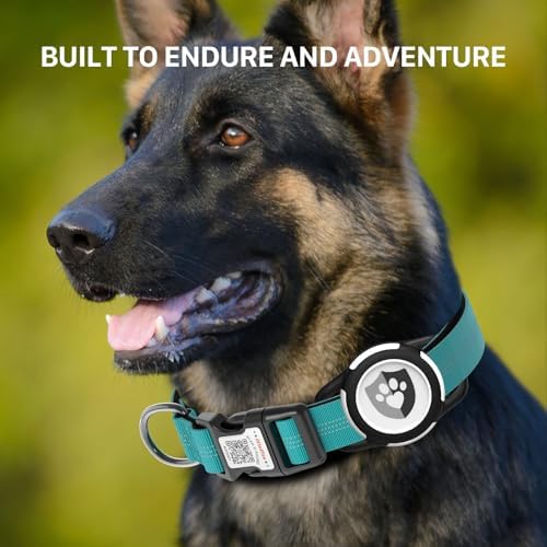 Waterproof AirTag Dog Collar with QR Code Dog Tag, Blue XS