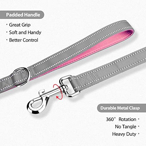 PHOEPET 5 Feet Dog Leash - Dual-Side Reflective - Soft Padded Handle
