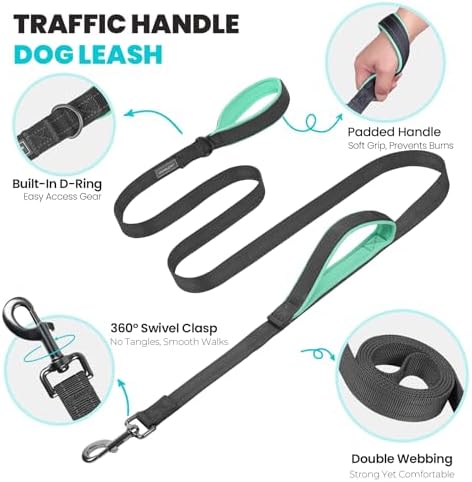 VIVAGLORY Double Handle Dog Leash Twingrip, 5ft x 1in, S, Grey