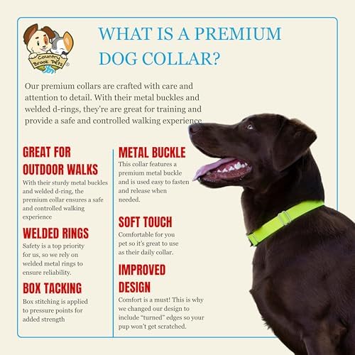 Country Brook Petz - Premium Nylon Dog Collar with Metal Buckle for Small Medium Large Breeds - 30+ Colors (Large, 1 Inch, Hot Yellow)