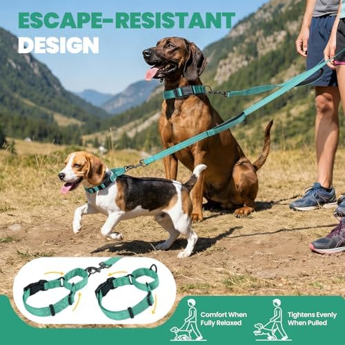VIVAGLORY Double Handle Dog Leash Twingrip, 5ft x 1in, M2, Turquoise
