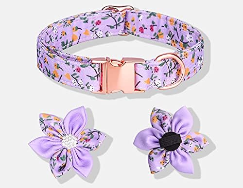 Floral Pattern Dog Collar - Cute with Detachable Rhinestone Flower for Female Puppy to Large Dogs (M, Blue)