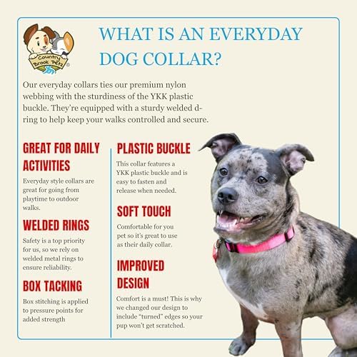 Country Brook Petz - Everyday Nylon Dog Collar for Large, Medium, and Small Dogs and Puppies - for Everyday Use in 30+ Colors (Extra Large, 1 Inch Wide, Hot Pink)