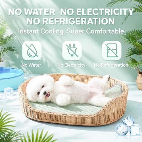 PatiencET Dog Cooling Mat, 22 x 28 in No-Gel Cooling Pad for Small Dogs, Puppies and Cats, Cool Touch Pet Mat with Ice-Dot Texture, Washable Summer Crate Pad for Floor, Sofa, Car, Light Green