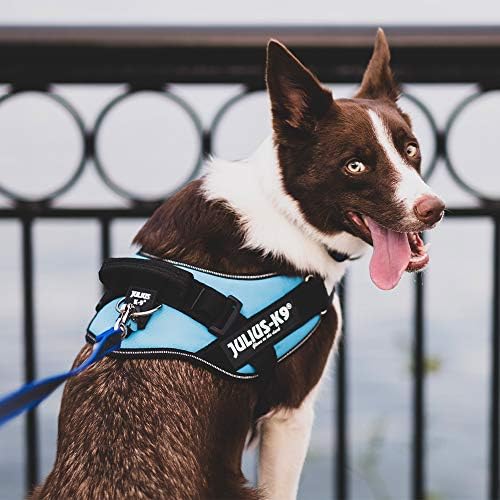 Julius-K9, 16IDC-P-1, IDC Powerharness, Dog Harness, Size: 1, Black