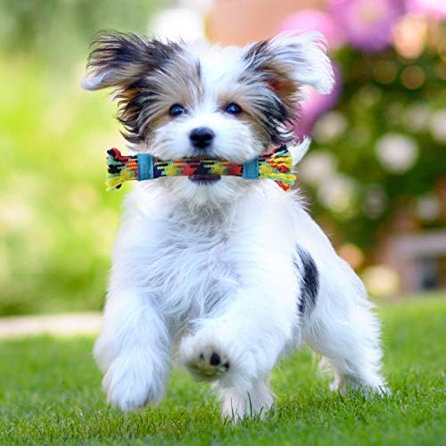 rocket & rex Puppy Rope & Tug of War Toys for Teething (3pk)