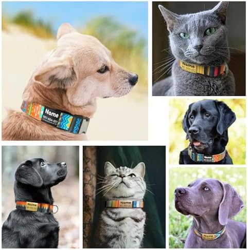 Engraved Personalized Dog Collar with Name Plate - Customized with ID Tag and Phone Number - 6 Styles for Boys, Girls, Male, Female, Puppies - Thin, Fancy Basic Collar (X-Large)