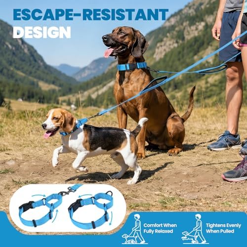 VIVAGLORY Double Handle Dog Leash Twingrip, 5ft x 1in, M, Blue