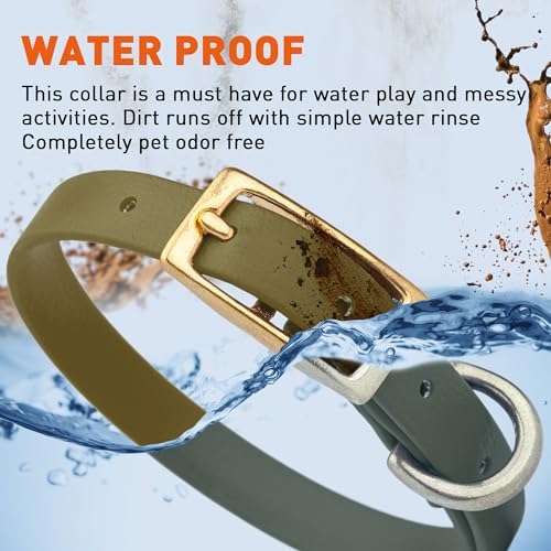 Viper Biothane Heavy Duty Waterproof Dog Collar Strong Coated Nylon Webbing w/Solid Brass Hardware Odor-Proof for Easy Care to Clean High Performance Fits Small Medium or Large Dogs, Olive Drab Green