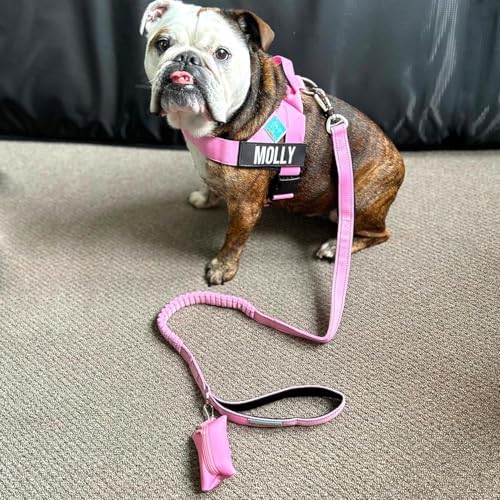 Dog Friendly Co. Poop Bag Holder for Leash, Dog Waste Bag, Premium Burgundy (Burgundy)