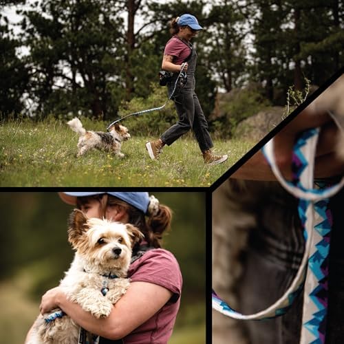 Wolfgang Venture Dog Collar Rockypeaks M