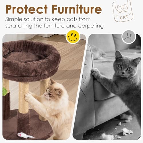 21” Tall Cat Scratching Post with Plush Cat Bed | Stable Cat Tree for Indoor Cats, Interactive Toy & Grooming Brush Included