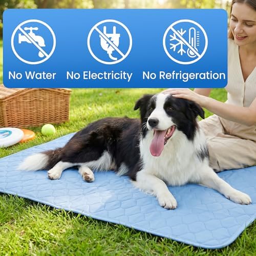 PatiencET Large Dog Cooling Mat, 32 x 44 in No-Gel Cooling Pad for Dogs, Cool Touch Nylon Pet Mat, Washable Dog Mat for Crate, Kennel, Bed, Floor, Sofa, Car, Blue
