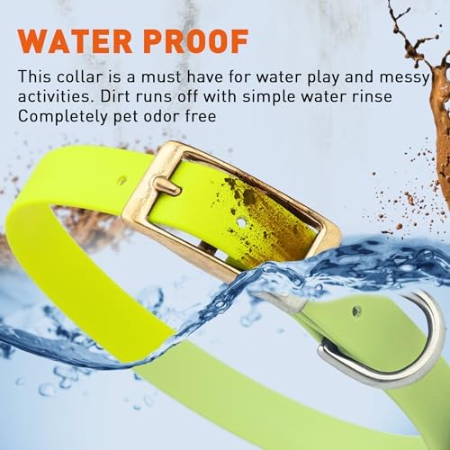 Viper Biothane Heavy Duty Waterproof Dog Collar Strong Coated Nylon Webbing w/Solid Brass Hardware Odor-Proof Easy to Clean High Performance Fits Small Medium or Large Dogs, Safety Yellow