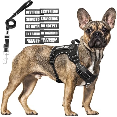 Tactical Dog Harness and Leash Set Medium Sized Dog+10 Dog Patches