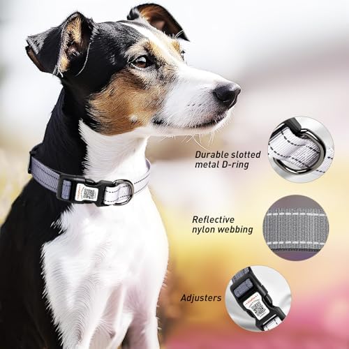 Personalized Dog Collar with QR Code Dog Tag, Black&Gray M