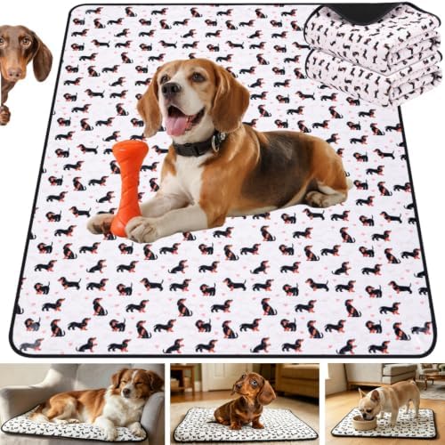 Washable Pee Pads for Dogs,2 Pack Reusable Puppy Training Pads-Funny Dachshund Print,Odor Resistant Super Absorbent,for Crate,Playpen,Floor,Whelping & Housebreaking