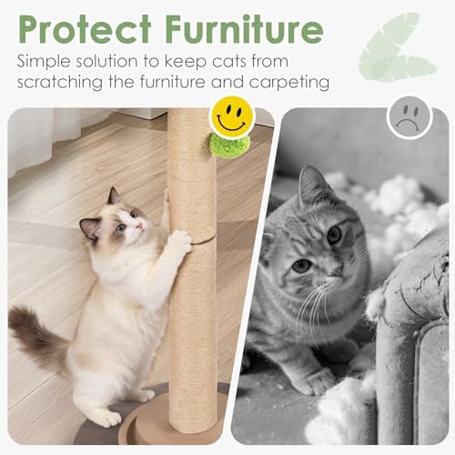 41.5" Tall Cat Scratching Post, Canna Leaf Cat Scratcher with Sisal Rope & Interactive Toys for Indoor Cats