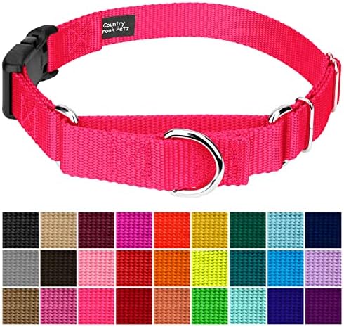 Martingale Dog Collar - Heavy Duty Nylon Adjustable Martingale Dog Collar with Plastic Buckle for Small Medium Large Breeds - 30+ Colors (3/4 Inch, Small, Hot Pink)