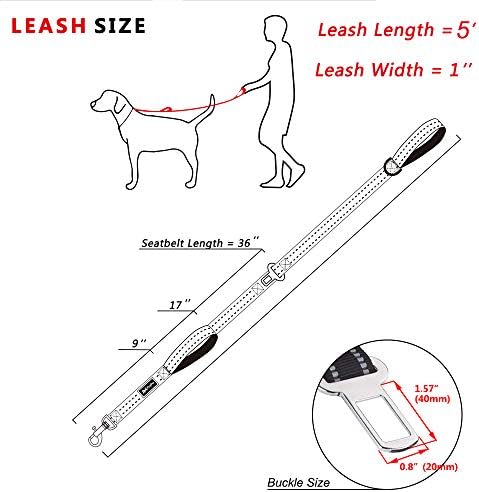 PoyPet 5 Feet Dog Leash with 2 Cushioned Handles (Orange)