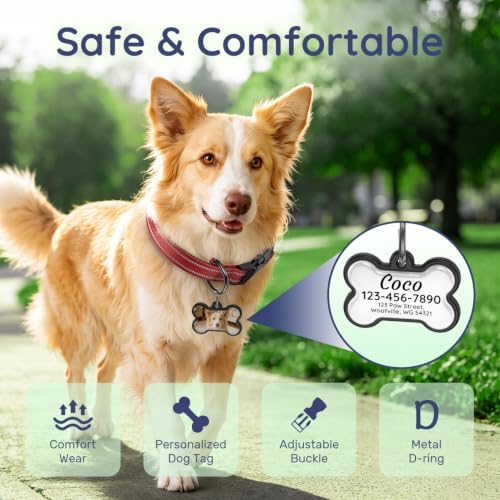 Personalized Dog Collar and Dog Tag Set,Comfortable for Small Medium Dogs