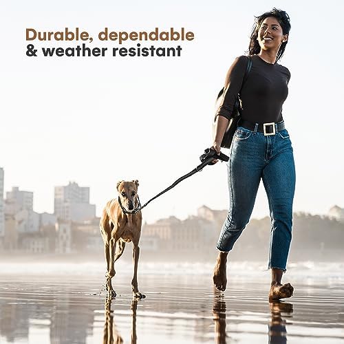 Black Rhino 6 ft Long Heavy Duty Dog Leash with Traffic Handle for Medium and Large Dogs - Padded Neoprene Dual Handles, Bag and Clip - Reflective, Durable, and Weather Resistant - Purple