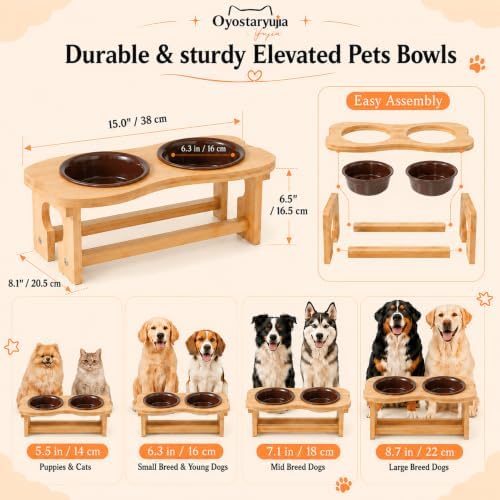 Bone Elevated 6.1" Ceramic Small Dog Bowls, Tilted Dog Bowl Stand