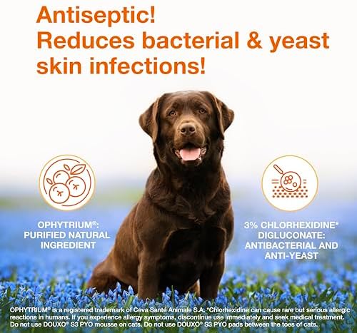 Douxo S3 PYO Medicated Dog Shampoo with 3% Chlorhexidine for Dogs – Antibacterial & Antiseptic Yeast Infection Treatment for Dogs & Cats, Clinically Proven, 6.7 oz (Pack of 12)
