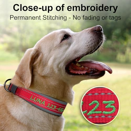 Personalized Dog Collar, Custom Embroidered Name & Phone Number