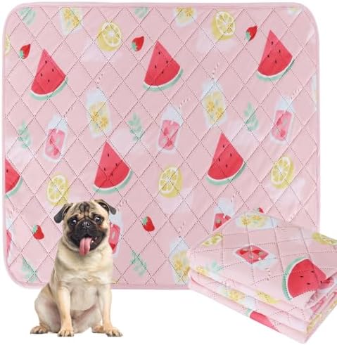 BVAGSS Washable Pee Pads for Dogs, 2 Pack Reusable Leakproof Puppy Wee Wee, Non-Slip Waterproof Pet Training, Super Absorbent Whelping XH081 (Watermelon, 24X24 Inch)