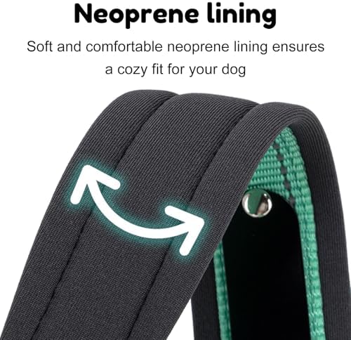 Personalized Reflective Dog Collar with Name, Turquoise: XL