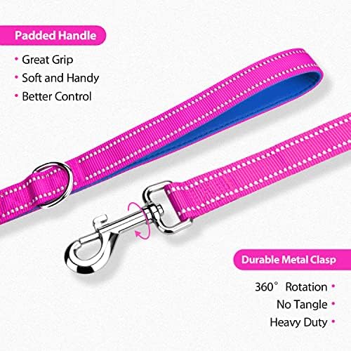 PHOEPET 5 Feet Dog Leash - Dual-Side Reflective - Soft Padded Handle