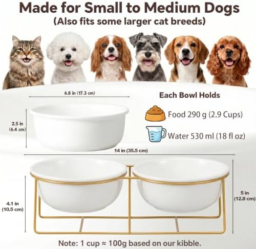 Large Small Double Elevated Dog Bowls - Raised Dog Bowl - Ceramic Dog Cat Bowl Set for Food and Water - Pet Comfort Feeding Bowls with Gold Iron Stand