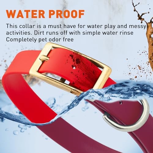 Viper Biothane Heavy Duty Waterproof Dog Collar Strong Coated Nylon Webbing w/Solid Brass Hardware Odor-Proof Easy to Clean High Performance Fits Small Medium or Large Dogs, Cherry Red