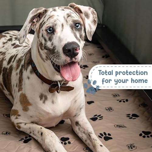 EZwhelp Reusable Dog Pee Pads, Washable Waterproof Mat 24x36 in, 2 Pack