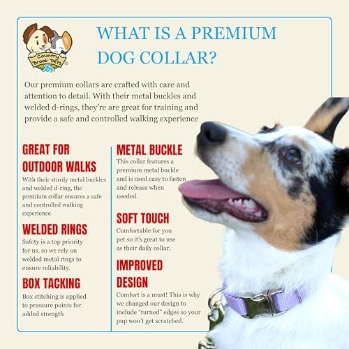 Country Brook Petz - Premium Nylon Dog Collar with Metal Buckle for Small Medium Large Breeds - 30+ Colors (Medium, 3/4 Inch, Lavender)