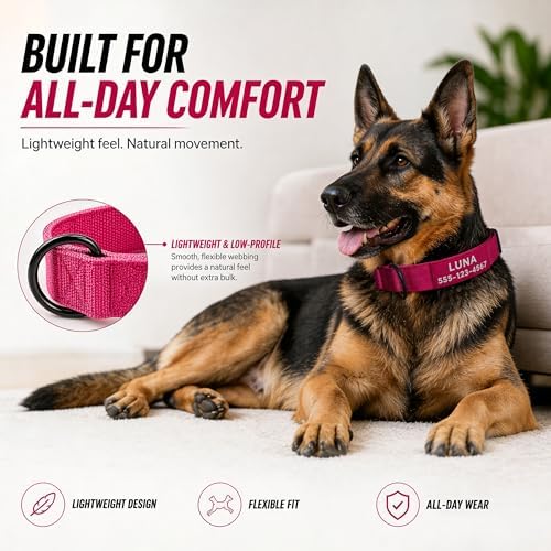 Caramel Personalized Tactical Dog Collar with Heavy Duty Nylon