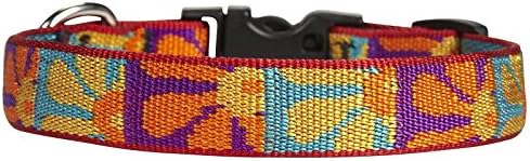 LupinePet Originals 3/4" Crazy Daisy 13-22" Adjustable Collar for Medium and Larger Dogs