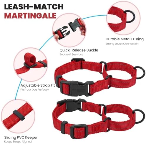 VIVAGLORY Double Handle Dog Leash Twingrip, 5ft x 1in, M, Red